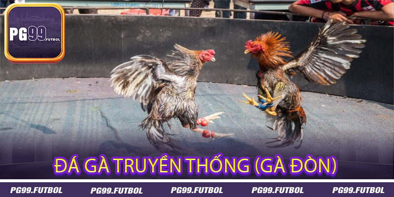 Đá gà truyền thống (gà đòn)