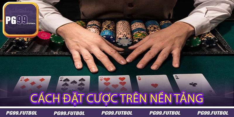 Cách đặt cược trên nền tảng